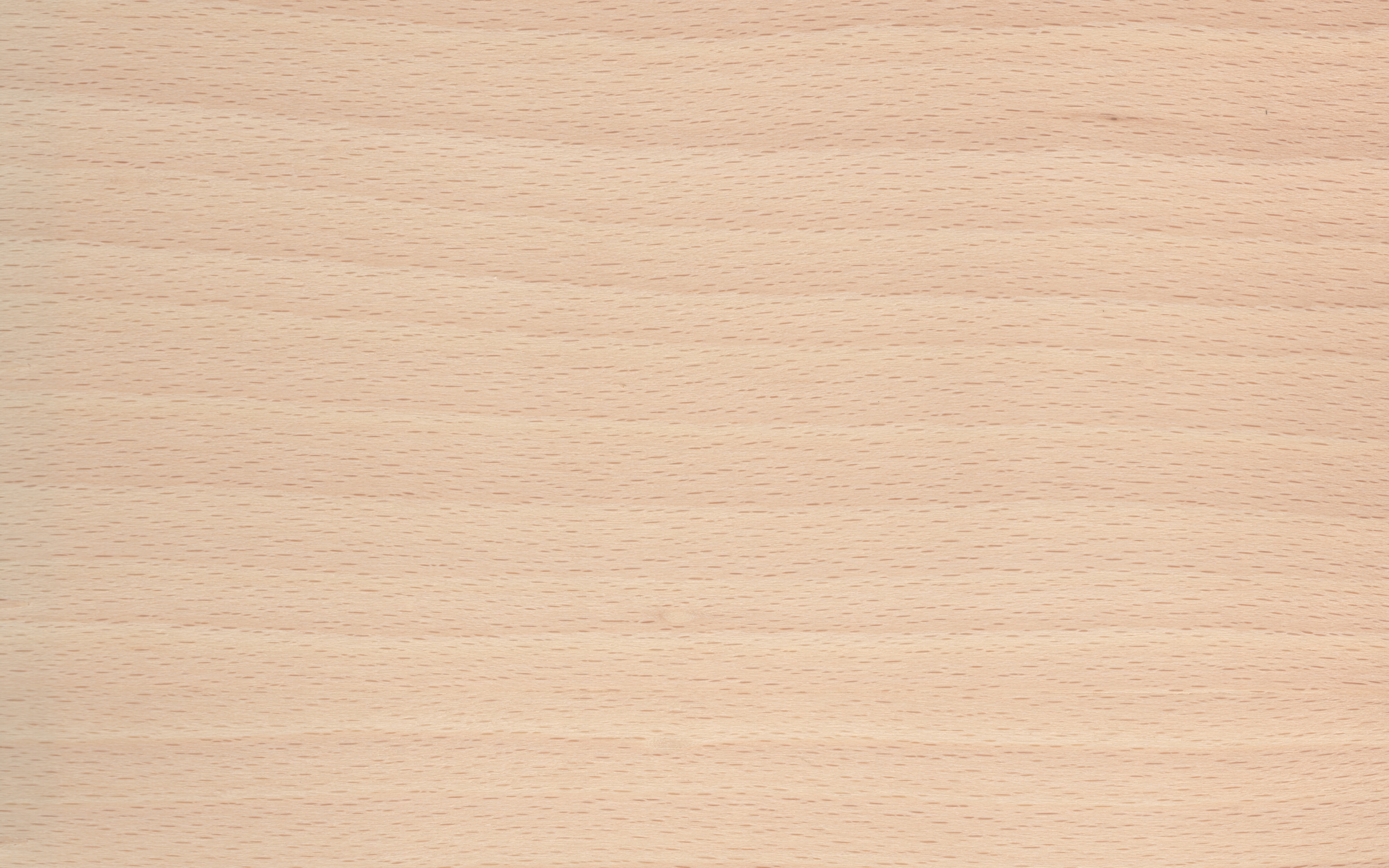 Veneer edging White Beech, dimension 0,5 x 22mm