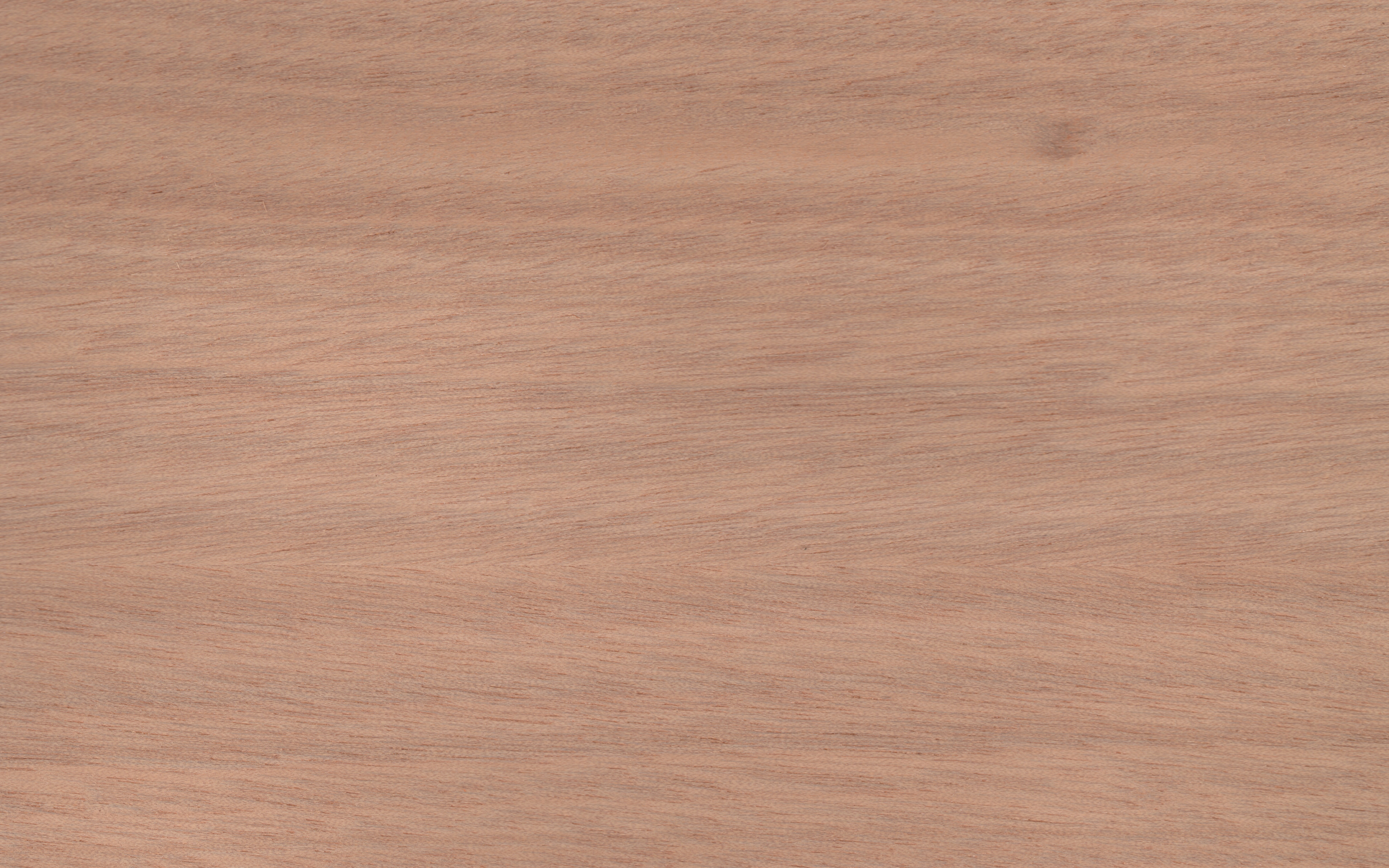 Veneer edging Ocume, dimension 0,5 x 63mm