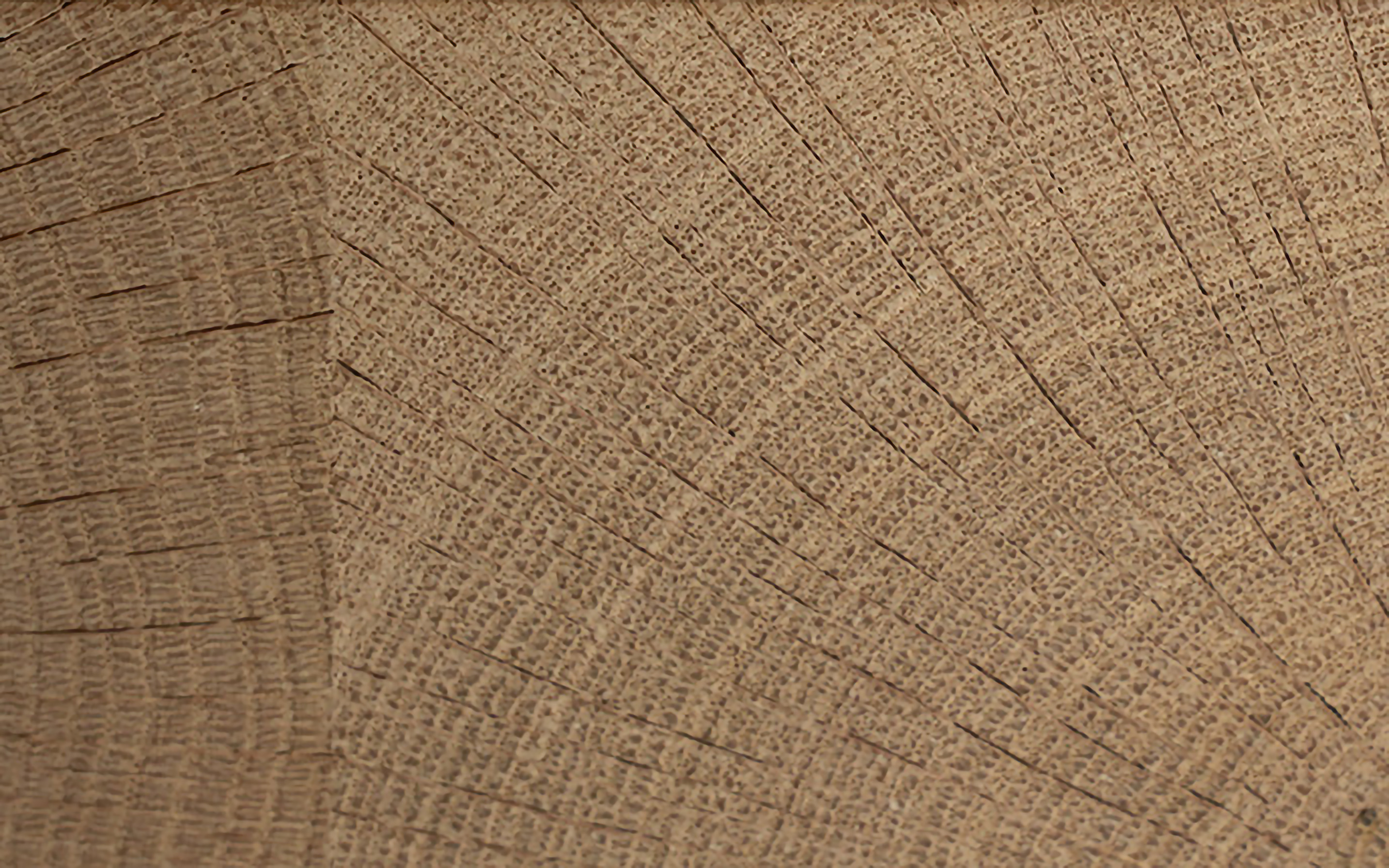 Veneer edging European Oak end-grain, dimension 1 x 33mm