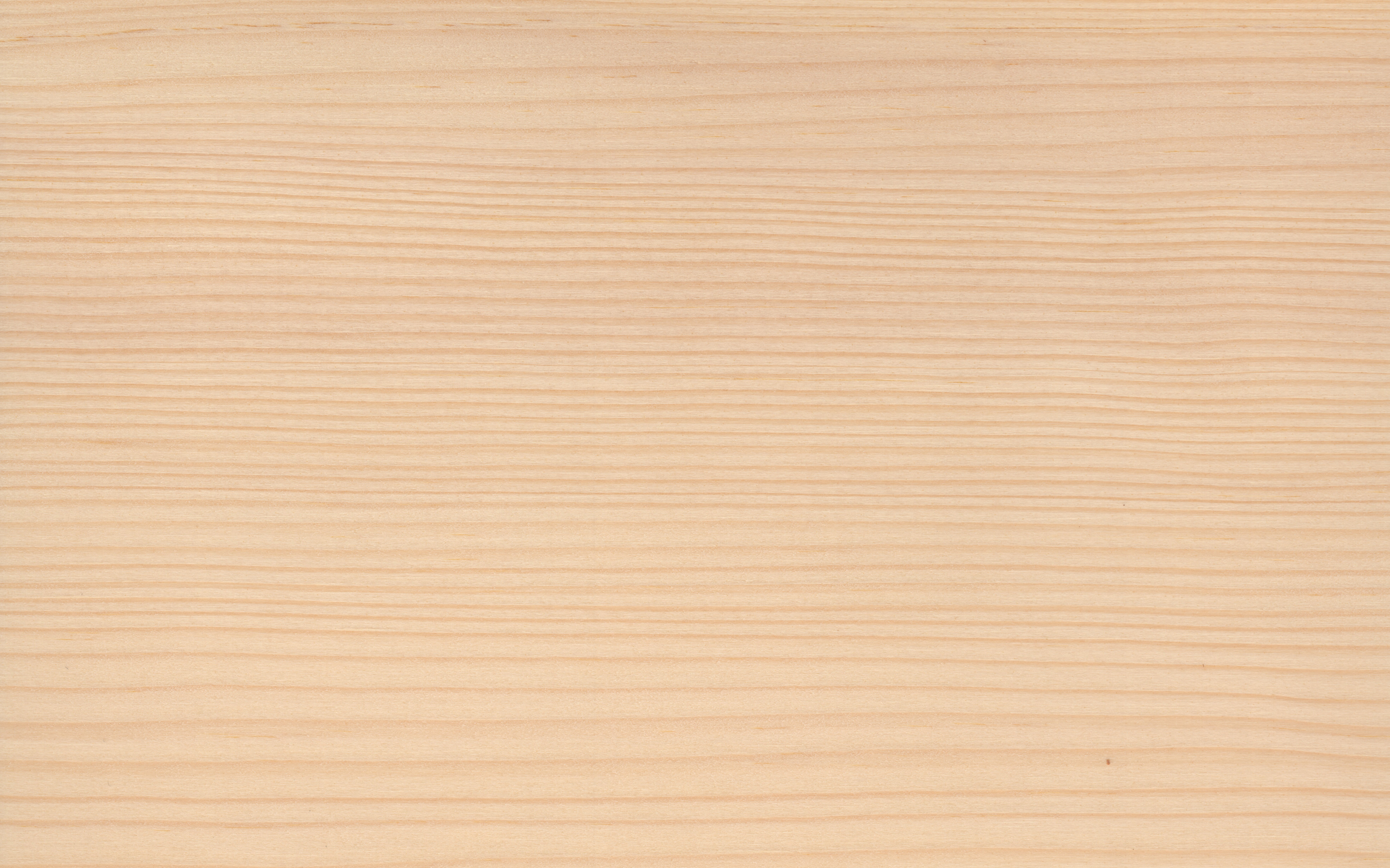Veneer edging Spruce, dimension 1,8 x 35mm