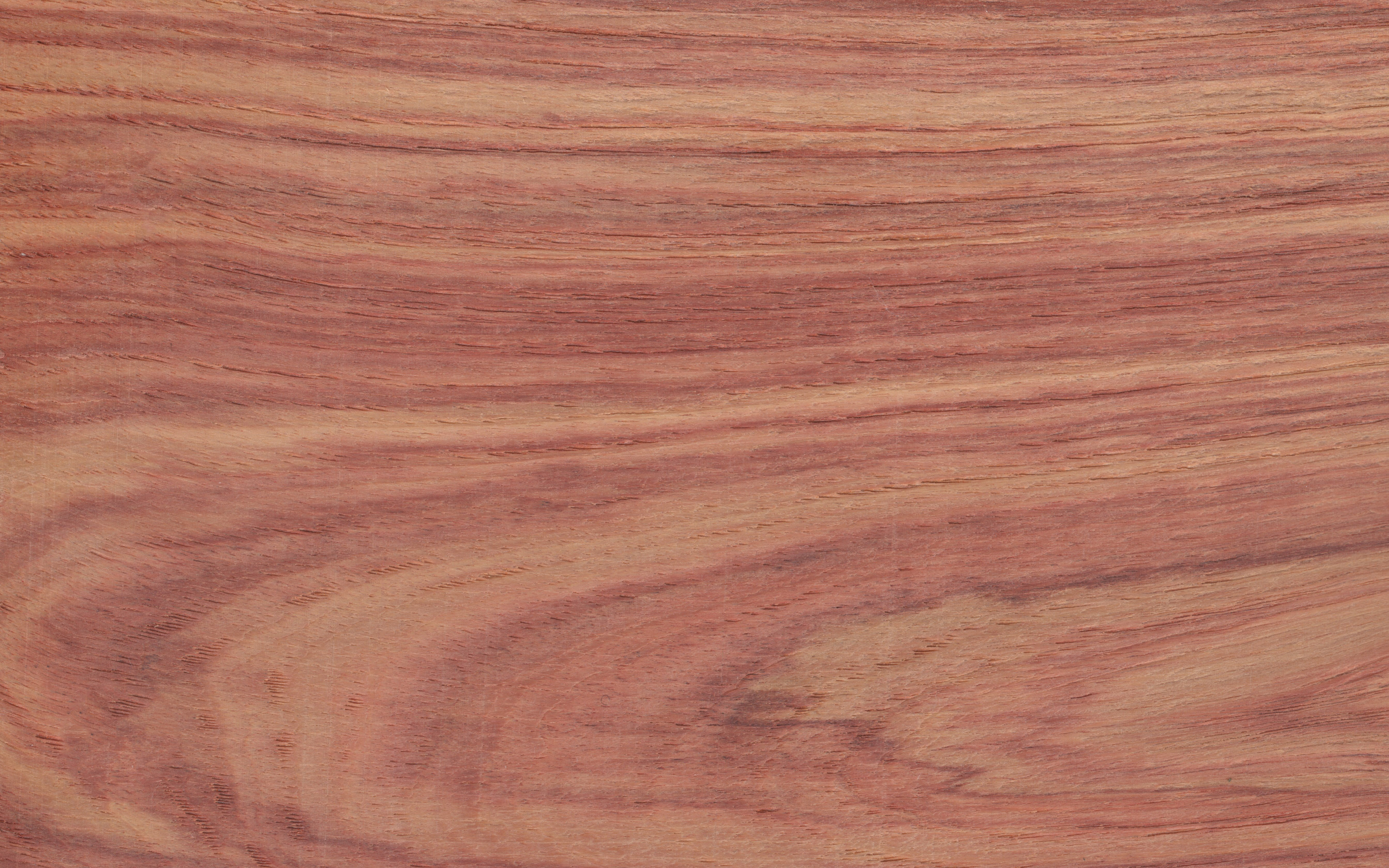 Veneer edging Tulip Wood, dimension 1 x 44mm