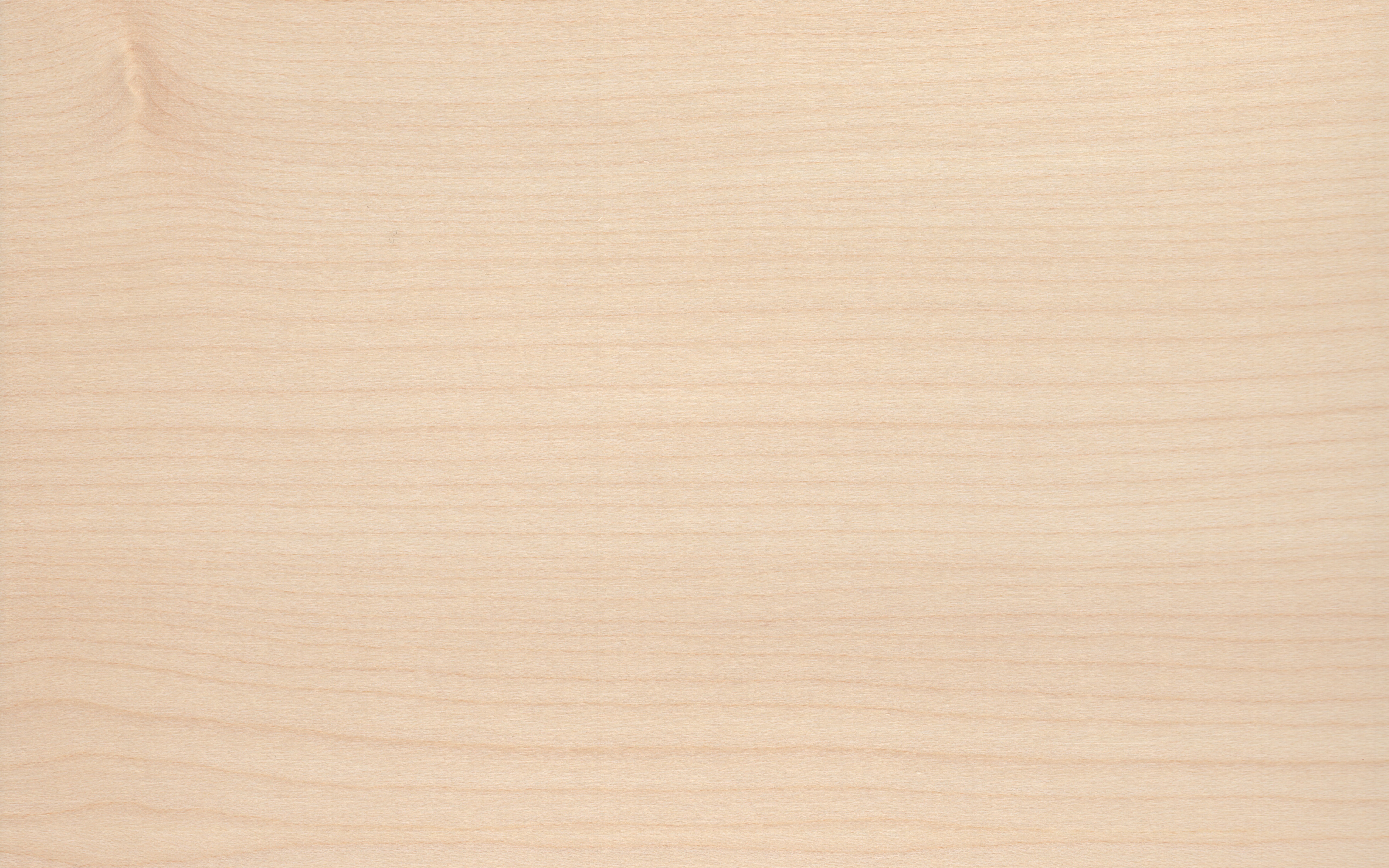 Robni furnir evropski javor, dimenzija 0,5 x 44mm, z lepilom