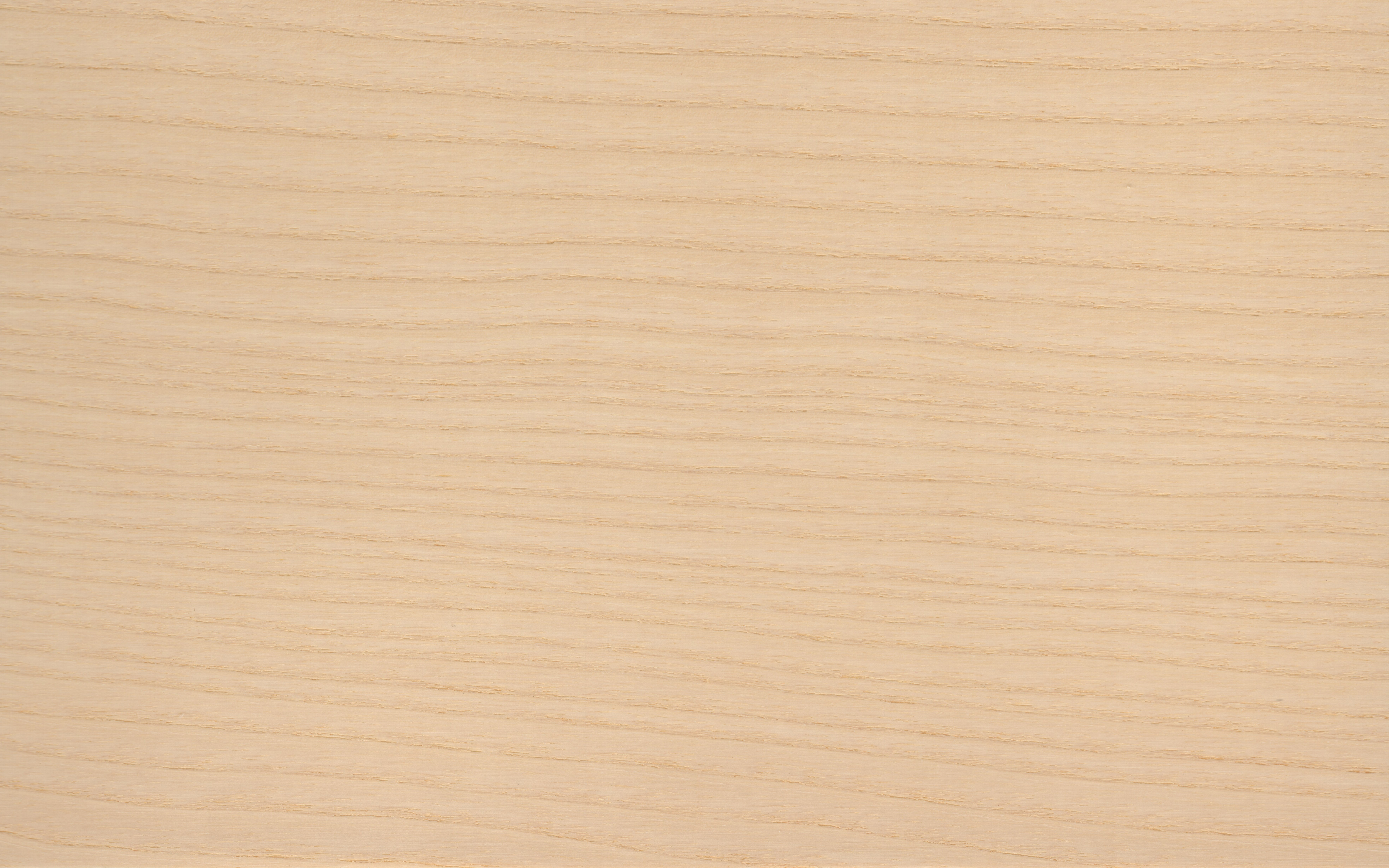 Veneer edging Ash, dimension 0,5 x 34mm