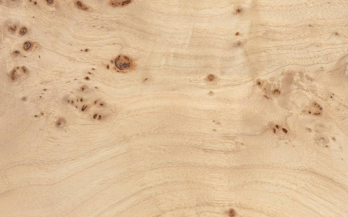 Veneer edging Poplar Burl, dimension 1 x 22mm