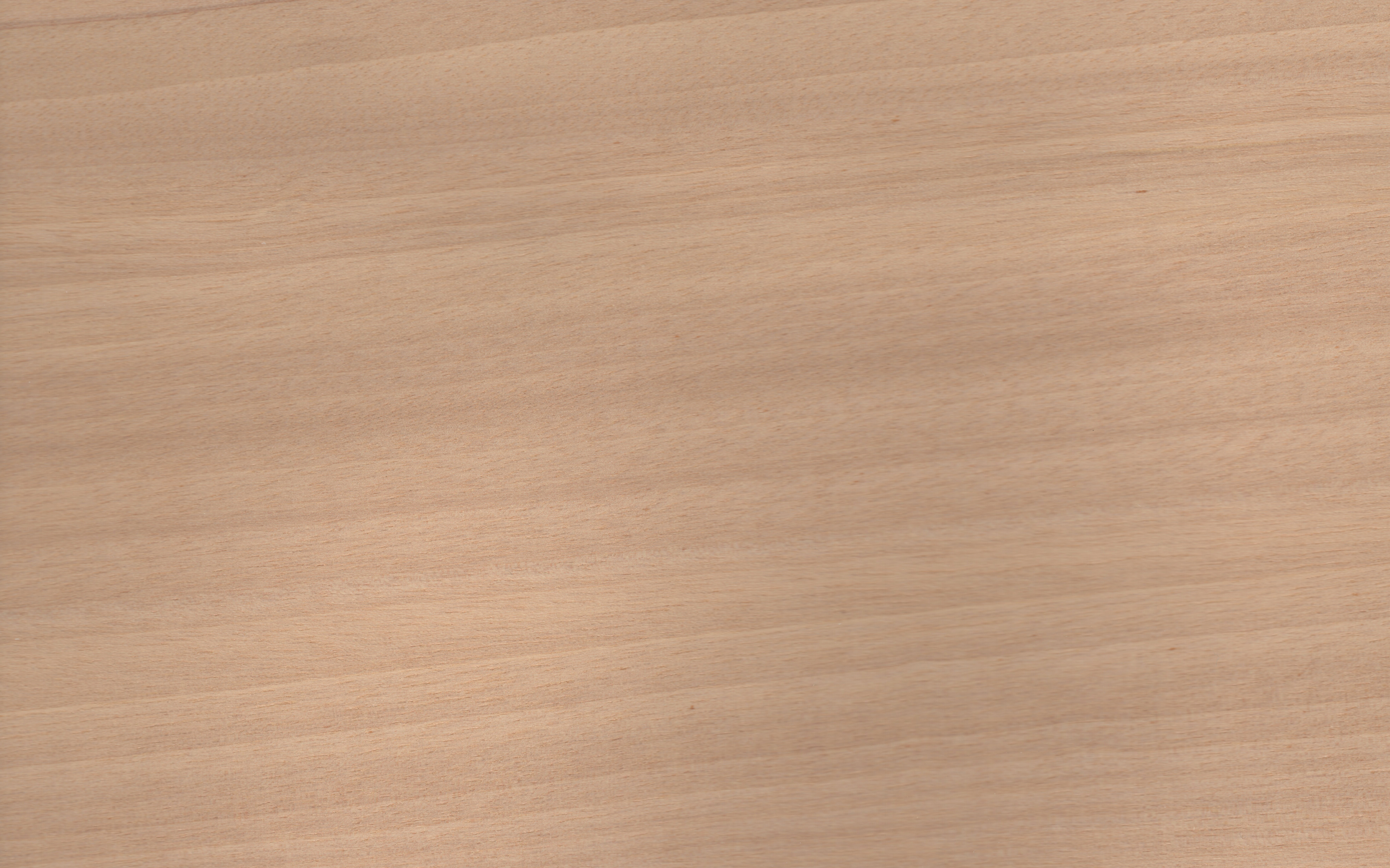 Veneer edging Anegre, dimension 1 x 81mm