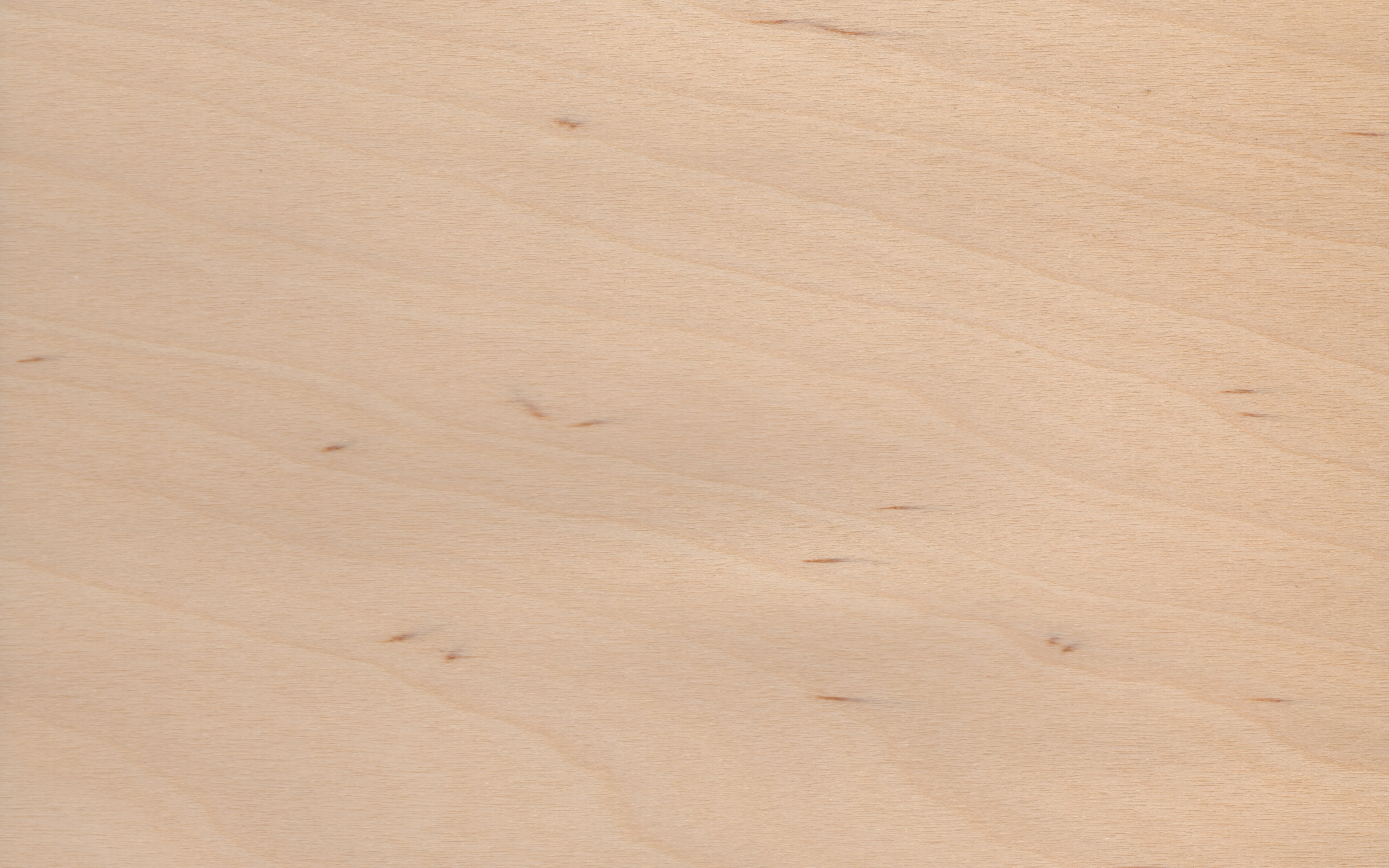 Robni furnir Breza, dimenzija 1 x 29mm