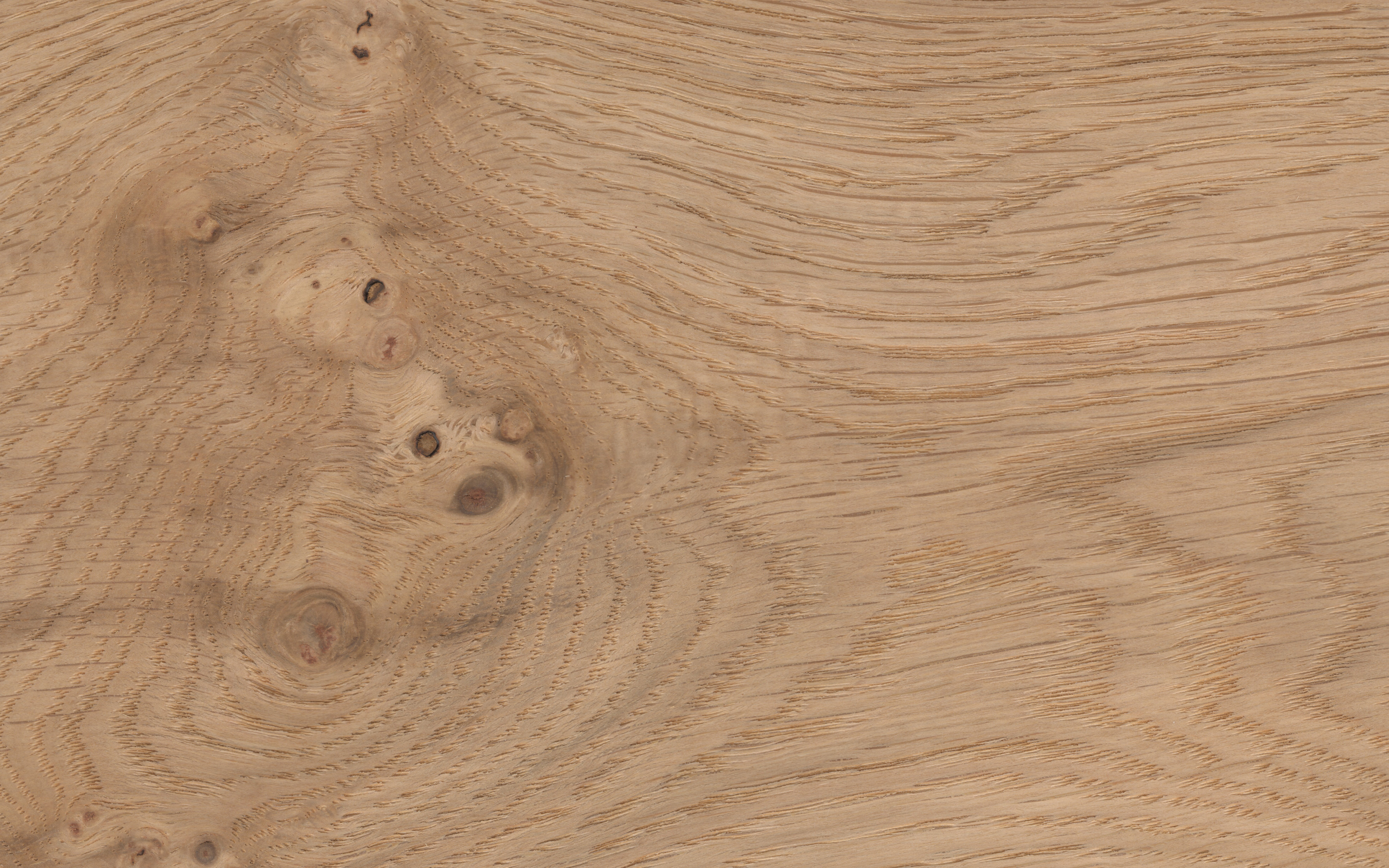 Veneer edging Knotty European Oak, dimension 1 x 35mm