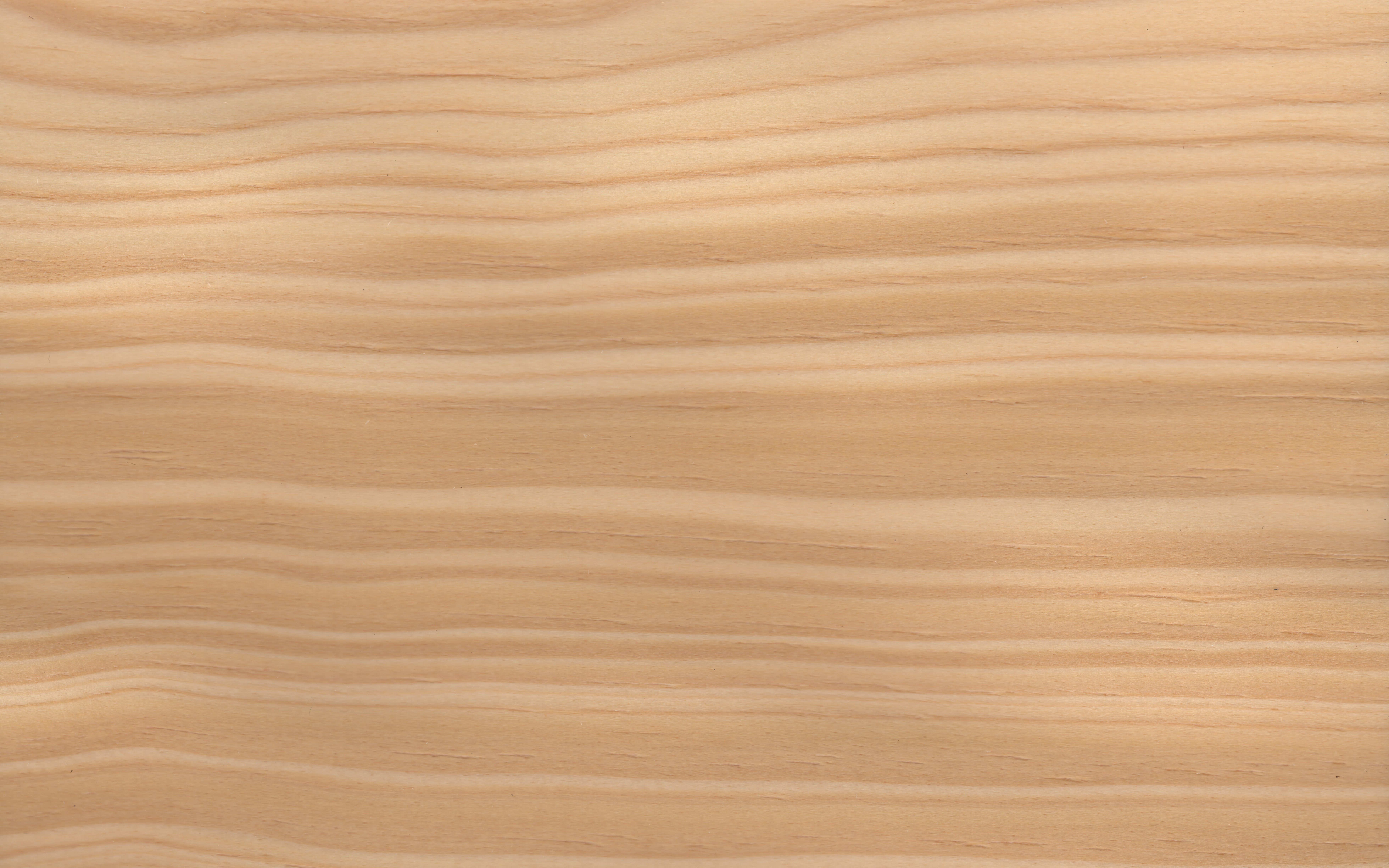 Veneer edging Pine, dimension 1,8 x 60mm