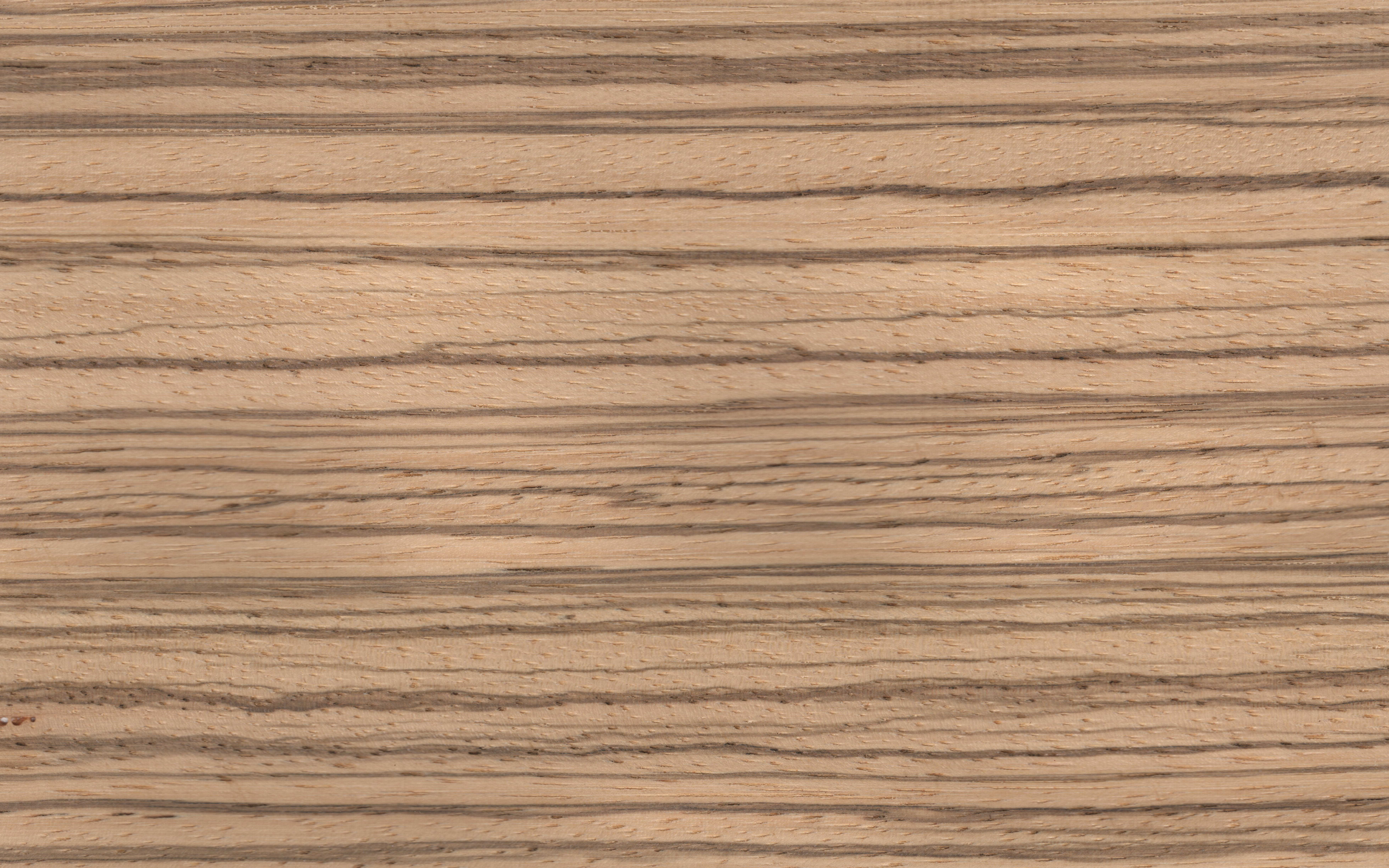 Veneer edging Zebrano, dimension 0,5 x 23mm