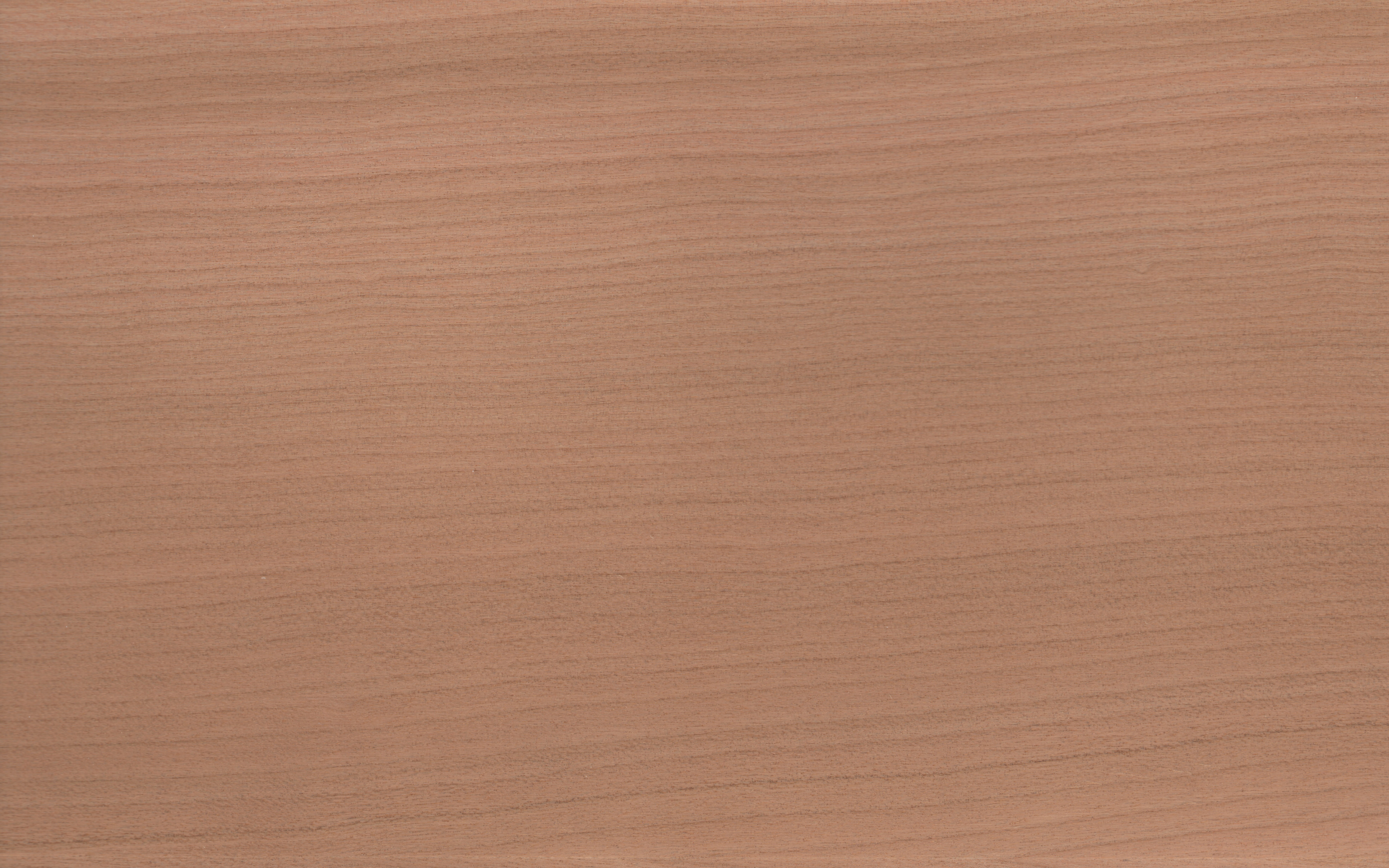 Robni furnir Ameriška Češnja, dimenzija 0,5 x 100mm