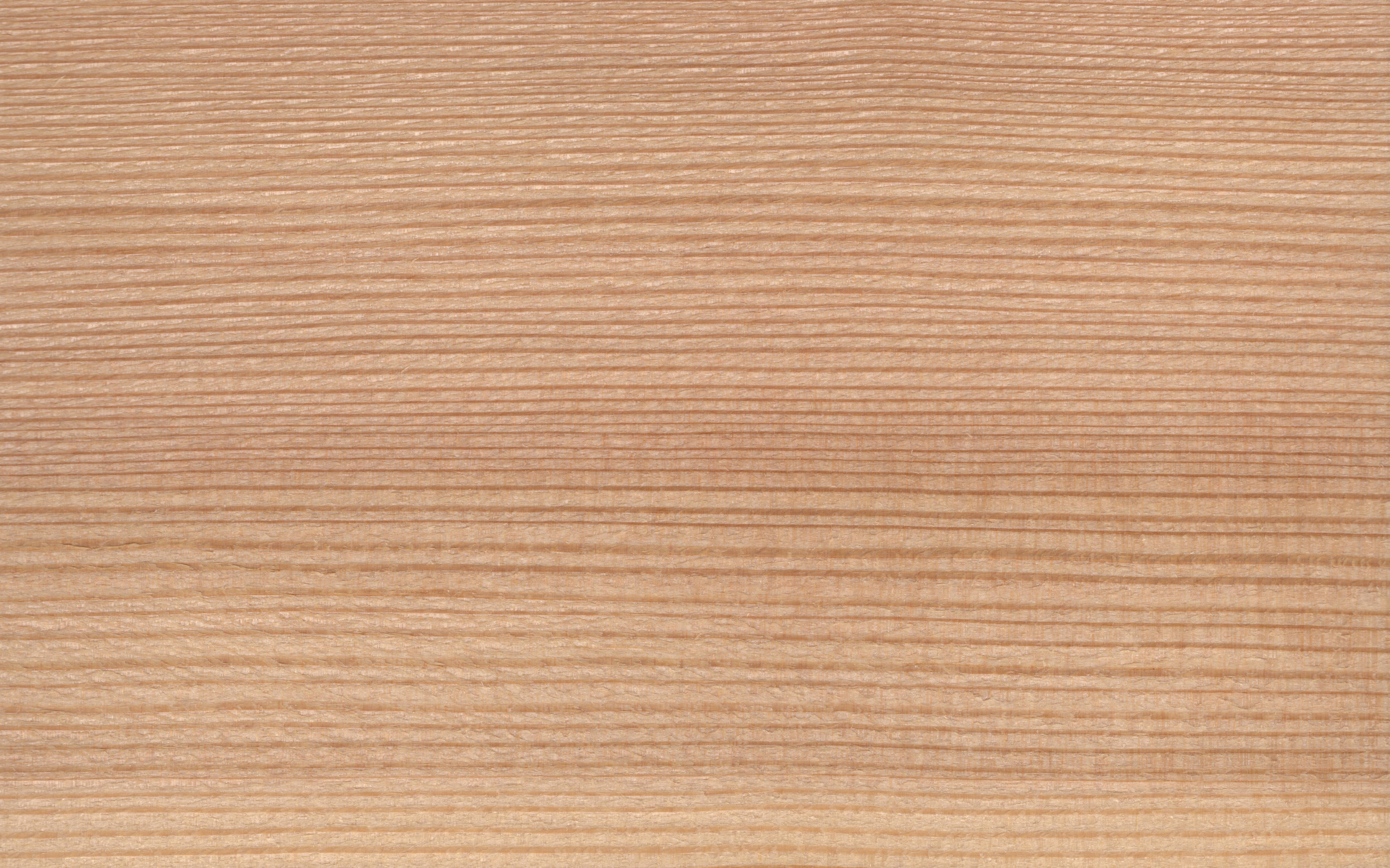 Robni furnir Macesen, dimenzija 1,8 x 34mm