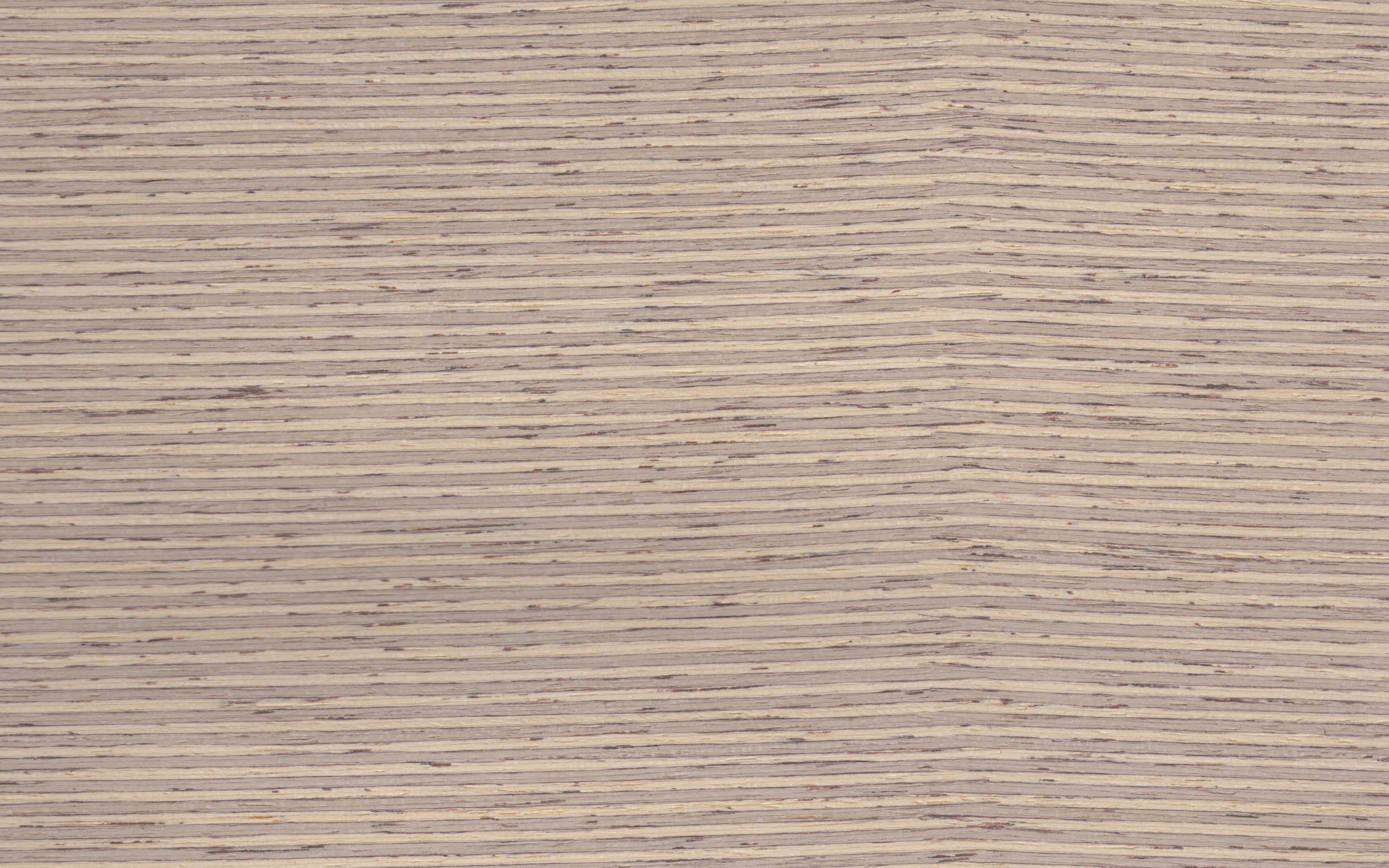 Veneer edging Birch Multiplex TYPE-10, dimension 0,5 x 24mm