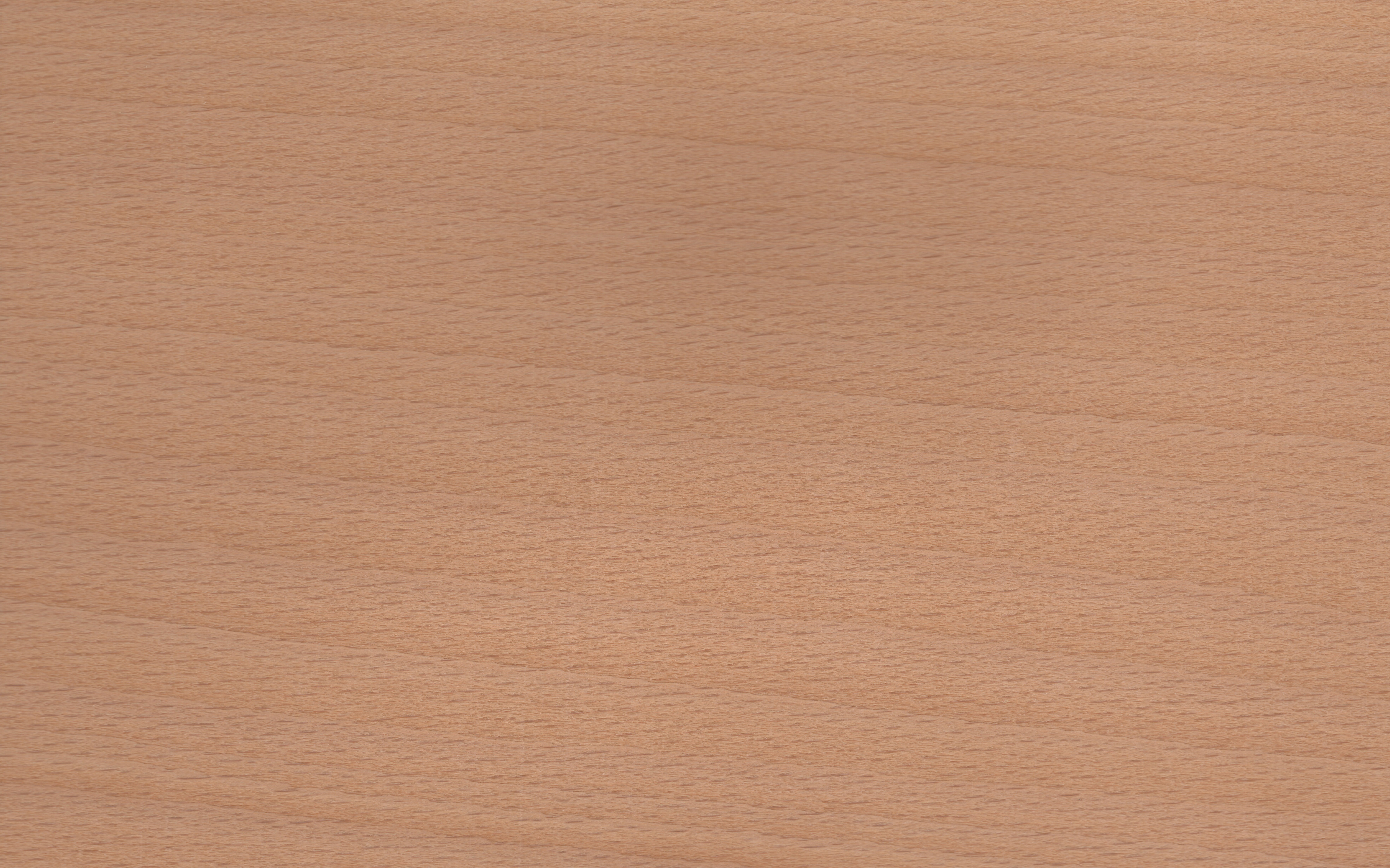 Veneer edging Steamed Beech, dimension 0,5 x 70mm