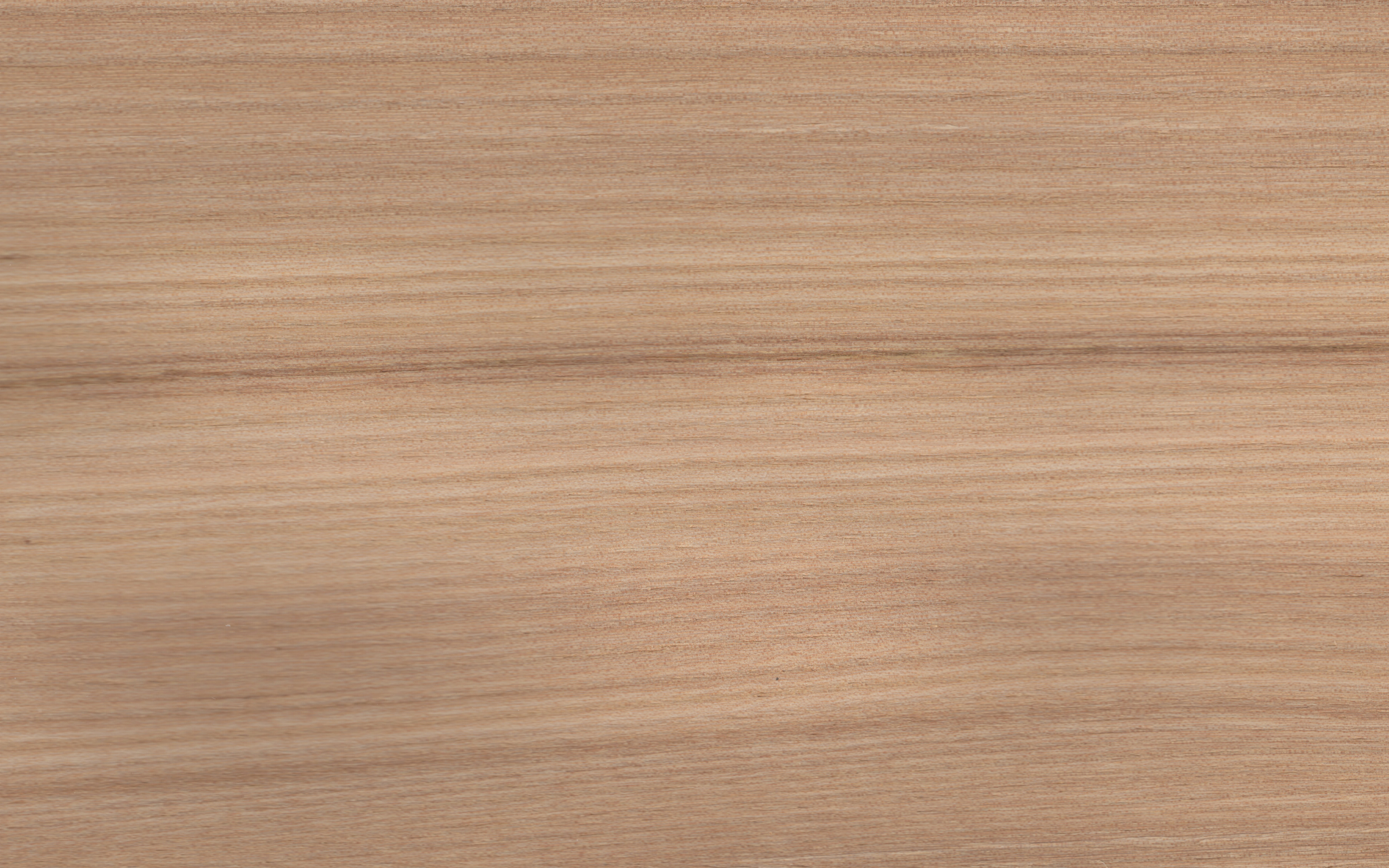 Veneer edging Elm, dimension 2 x 23mm