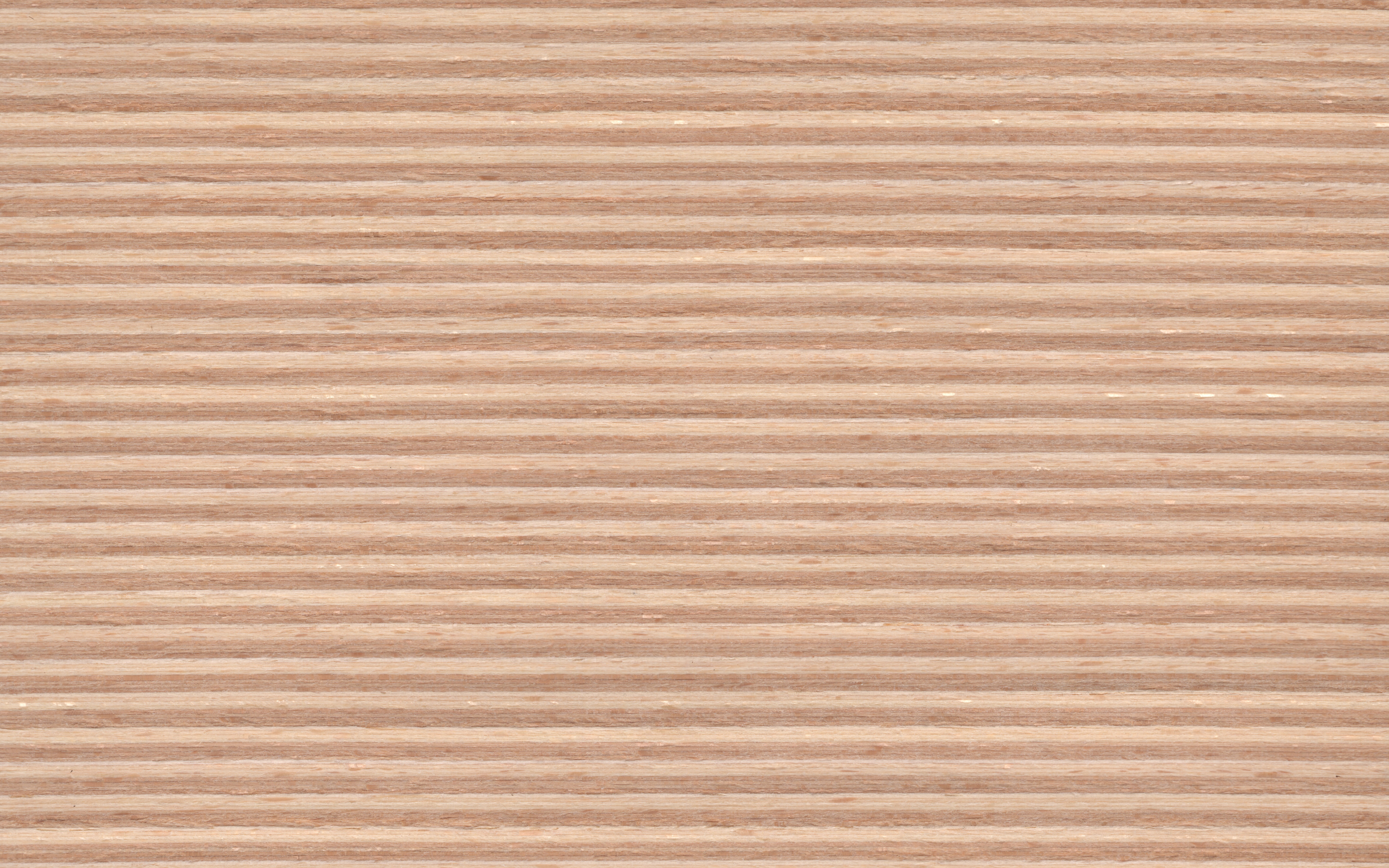 Veneer edging Beech Multiplex TYPE-11, dimension 1 x 23mm