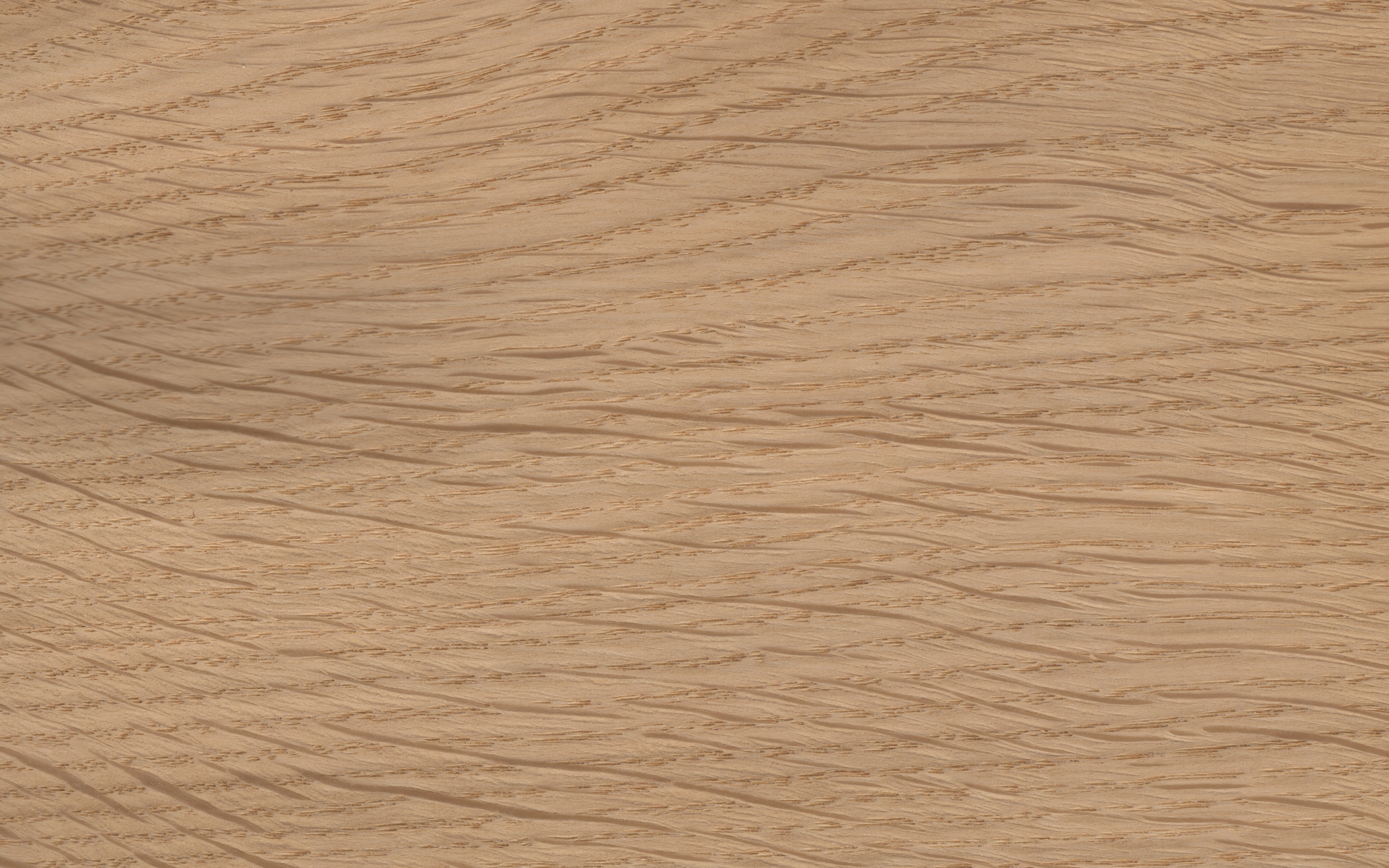 Veneer edging European Oak, dimension 2 x 23mm FSC-100%