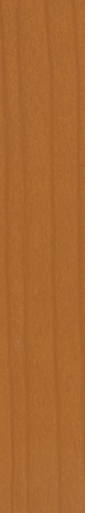 ABS 30CP, 2/22mm